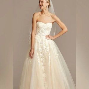 David's Bridal Sheer Lace Tulle Ballgown
